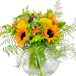 The initial impression of this Dollis Hill bouquet is a captivating burst of sunlit joy-an abundance of vibrant yellow roses and radiant sunflowers radiates from a sleek, round glass vase, reminiscent of summer days in King Edward VII Park. Each sunflower's golden petals and striking brown core project unwavering warmth, while the tightly layered yellow roses contribute depth and a classic refinement. Interwoven through the arrangement, clusters of scarlet hypericum berries offer glossy, jewel-like pops that contrast vividly with matte petals and lush green foliage. Feathered fern fronds and slender green spikes add an airy cascade, echoing the wild natural beauty of Dollis Hill's parks. Eucalyptus leaves, tinged with cool blue-green, peek through the composition and gently scent the air. The water-filled glass vase reveals every stem's line, magnifying the arrangement's architectural grace and clarity. Up close, the bouquet's tactile beauty emerges: soft sunflower velvet, the spiral roses' dense petals, crisp green foliage, and the shiny berry skins. The entire arrangement feels alive with seasonal exuberance, perfectly suited for milestone celebrations-birthdays, anniversaries, or simply welcoming guests to a warm home in NW2. Every element reflects the craft and heart of local Dollis Hill florists, creating an unforgettable centrepiece that radiates genuine happiness.